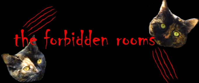 forbidden_room_flat