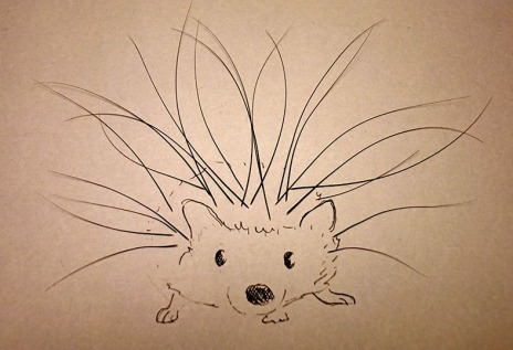 Whiskers_hedgehog_lr